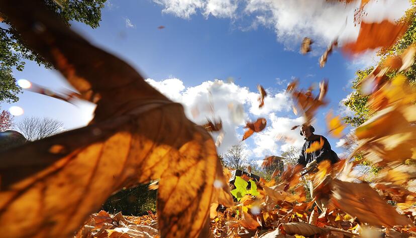 An Sonn- und Feiertagen ist ihr Einsatz verboten: Laubbl&auml;ser.
