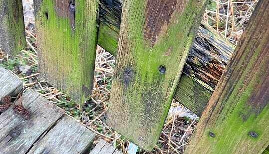 Schwere Sch&auml;den sind an vielen Stellen des Bauwerks zu sehen.