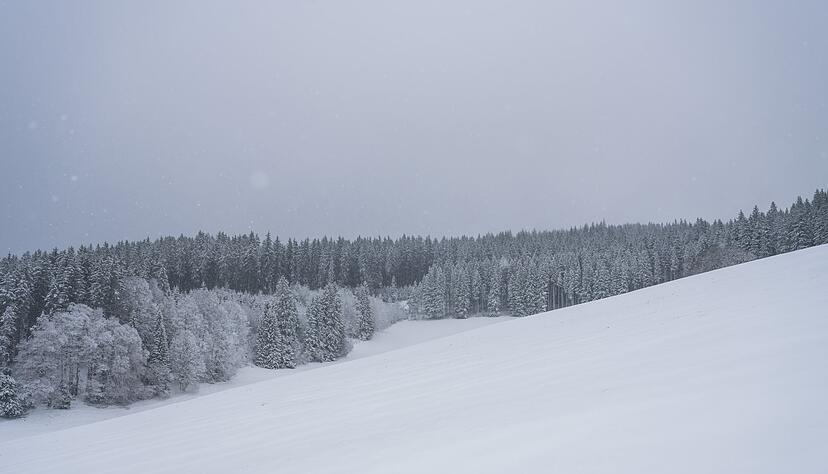 Dank Neuschnee öffnen einige Skilifte erneut. (Archivbild) Dank Neuschnee öffnen einige Skilifte erneut. (Archivbild)