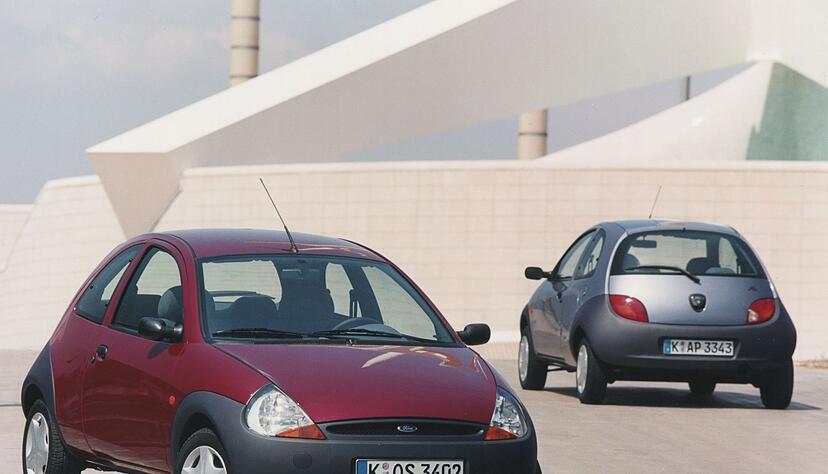 Keck, der Kleine: Ja, und Sie m&ouml;gen sogar diese gro&szlig;fl&auml;chigen Sto&szlig;f&auml;nger aus Plastik?