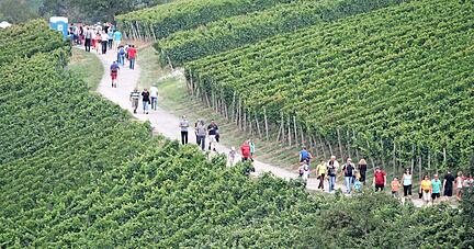 Auf zahlreiche Besucher hofft der Genie&szlig;ertour-Verein an diesem Wochenende. Das Wetter scheint mitzuspielen. 
Foto: Archiv/Doll