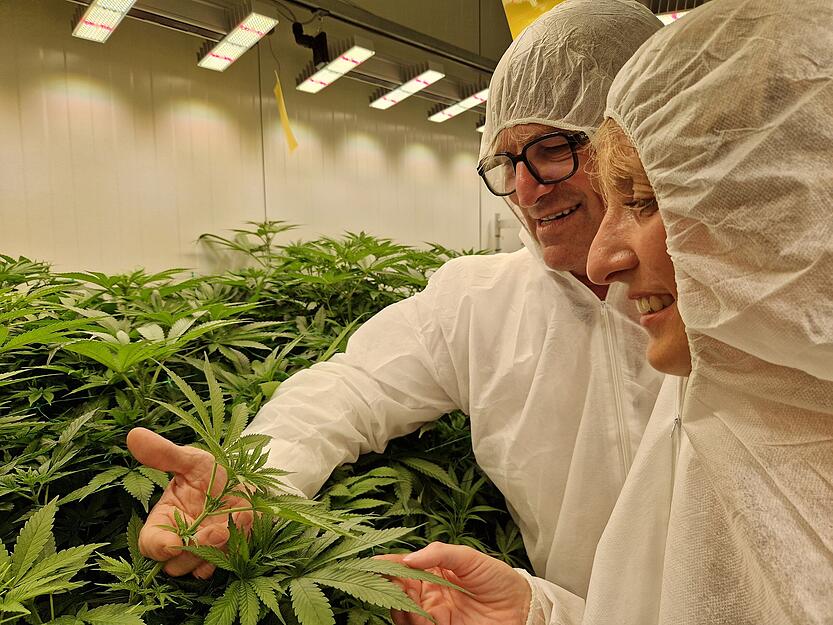 Gesundheitsminister Manfred Lucha und die örtliche CDU-Landtagsabgeordnete Isabell Huber begutachten die Cannabis-Pflanzen.