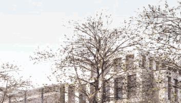 Ein Ausschnitt der Fassade des vom Architekturbüro Mattes, Sekiguchi und Partner geplanten Neubaus.
