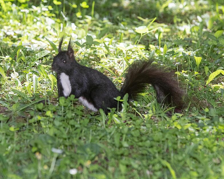 Hauptfriedhof Heilbronn Hauptfriedhof Heilbronn