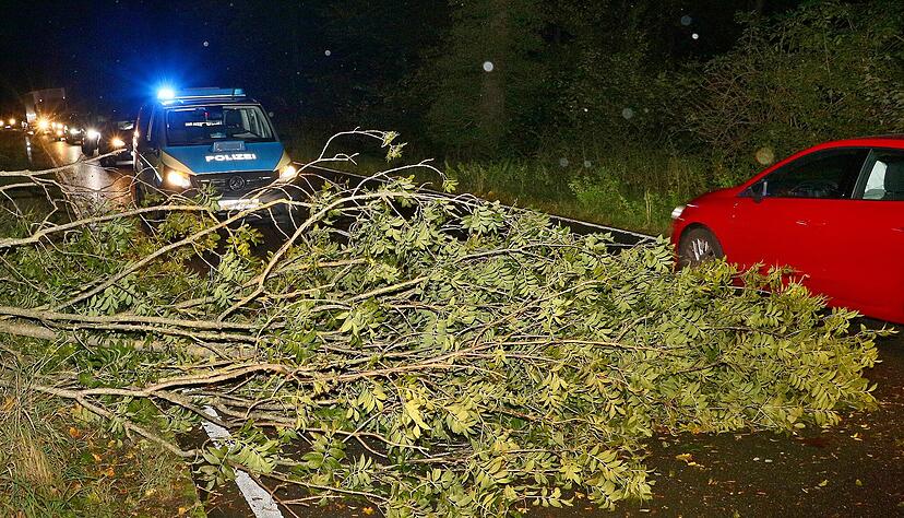 Polizei und Feuerwehr sind im Einsatz, nachdem ein Baum umgefallen ist auf der Kreisstraße 1690 zwischen Ölmühle und Golfplatz Nippenburg. Ex-Hurrikan "Kirk" hat in Baden-Württemberg für Feuerwehreinsätze sowie Beeinträchtigungen im Bahnverkehr gesorgt.