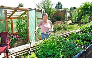 Gärtner kommen mit dem Gießen gar nicht mehr nach. Foto: Mugler Gärtner kommen mit dem Gießen gar nicht mehr nach. Foto: Mugler