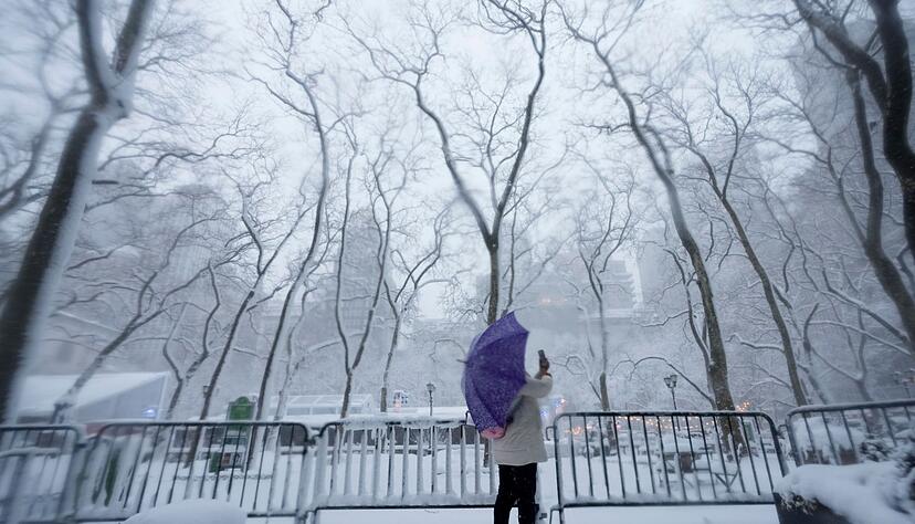 In einigen Parks der Stadt entstanden ganze Armadas von Schneefiguren.