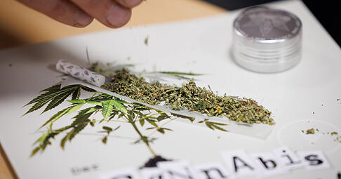 Die Cannabis Clubs in Baden-Württemberg warten noch immer auf die Genehmigung ihrer Anträge.