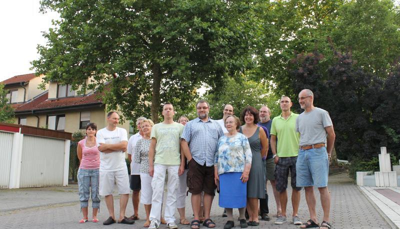 Anlieger der Karl-Wagenplast-Stra&szlig;e klagen &uuml;ber Bodenhebungen durch starken Wurzelwuchs der B&auml;ume und fordern einen Austausch.
Fotos: Friedhelm R&ouml;mer