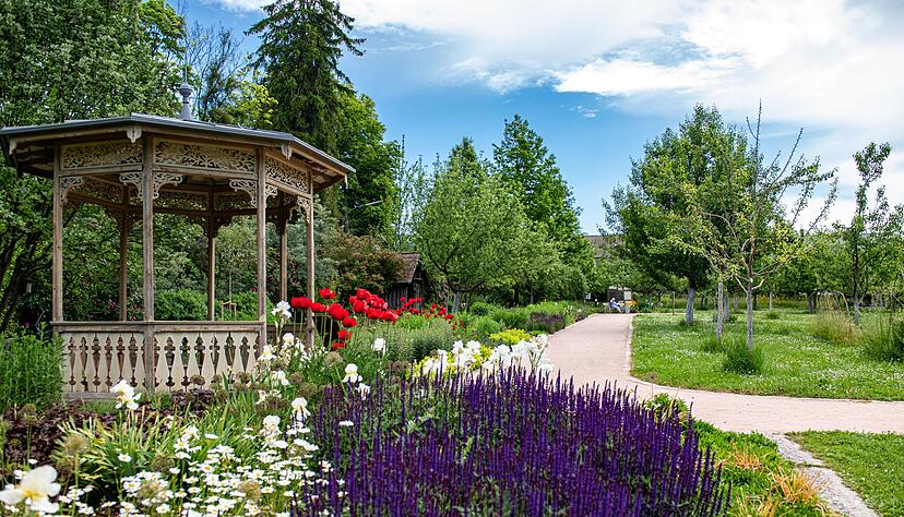 Zu jeder Jahreszeit schön: der Botanische Obstgarten. Ulrich Frey hat in alten Akten gewühlt, um die Entstehung des Botanischen Obstgartens zu rekapitulieren.
Foto: Archiv/Christiana Kunz Zu jeder Jahreszeit schön: der Botanische Obstgarten. Ulrich Frey hat in alten Akten gewühlt, um die Entstehung des Botanischen Obstgartens zu rekapitulieren.
Foto: Archiv/Christiana Kunz