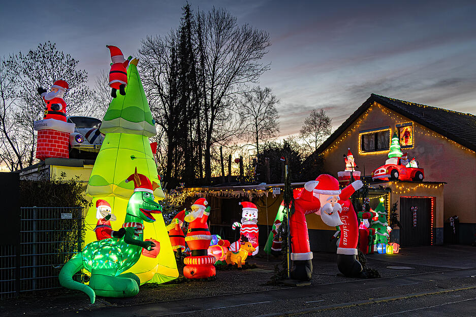 Der gr&uuml;ne Weihnachts-Dino mit seiner Weihnachtsmannm&uuml;tze sei vor allem bei Kindern beliebt, berichtet Simone Wolf.