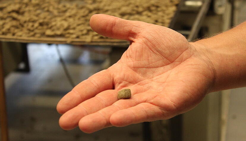 Was steckt im Hundekuchen drin? Foto: Heike Kinkopf