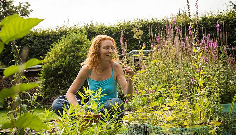 Ein Hauch Wildnis: Dichter Bewuchs schenkt Insekten und kleinen Tieren ein Zuhause.