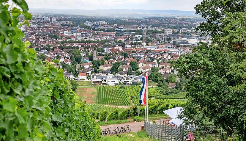 Blick vom Wartberg: Als grüne und innovative Stadt will sich Heilbronn 2027 im Rahmen von Green Capital präsentieren. Blick vom Wartberg: Als grüne und innovative Stadt will sich Heilbronn 2027 im Rahmen von Green Capital präsentieren.