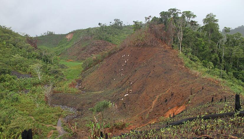 Abgeholzter Wald in Madagaskar