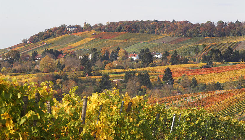 Foto: Andreas Veigel