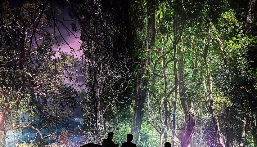 Zehntausende haben das Regenwald-Panorama in  Pforzheim bereit besucht. (Archivbild)