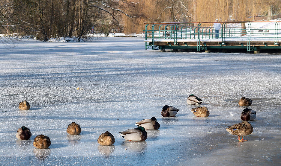 Winter in der Region