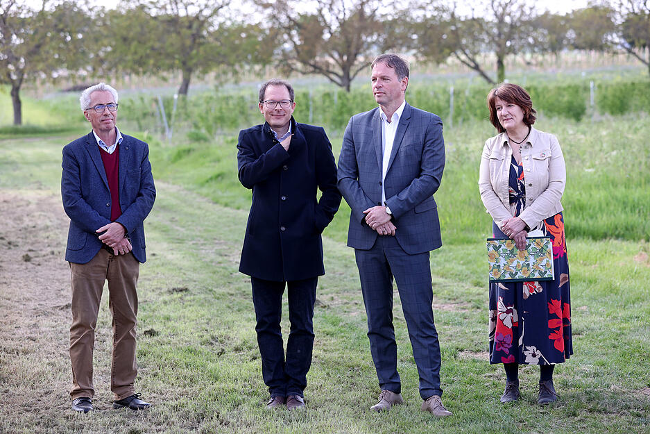 Einweihung der Agrar-PV-Anlage im Obstversuchsgut Heuchlingen in Bad Friedrichshall. Pilotprojekt des Landes Baden-Württemberg. Beerenobstanlage unter APV-Überdachung.