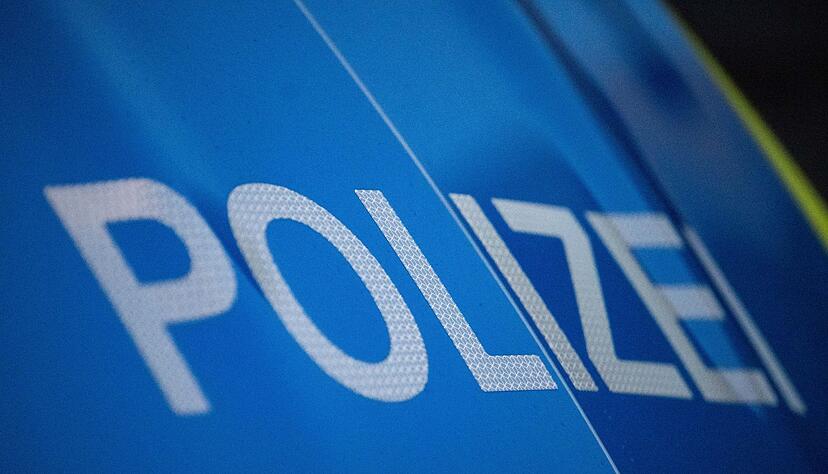 Ein 19-J&auml;hriger hat das Kennzeichen eines Polizeiautos geklaut und sich im Geb&uuml;sch versteckt. (Foto Illustration)