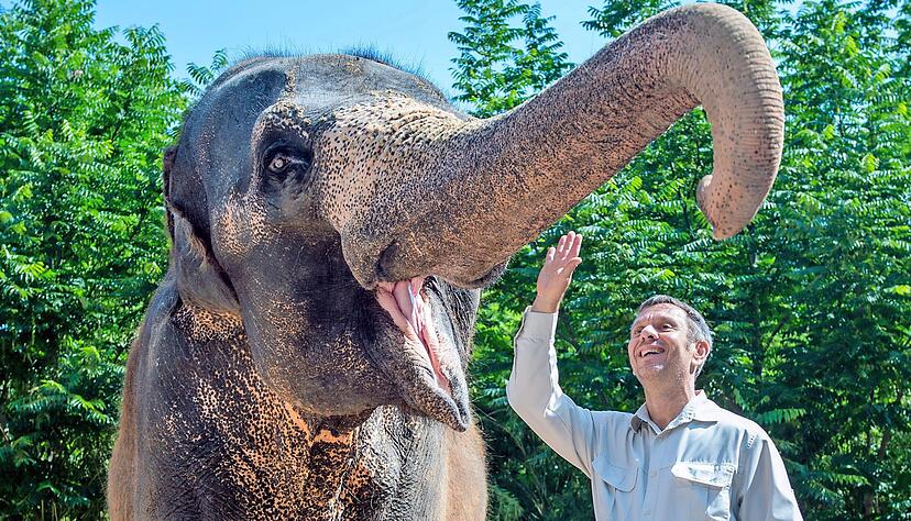 Wilhelma-Direktor Thomas Kölpin mit Elefantendame Zella. Ein neues Gehege soll Platz für 14 Dickhäuter bieten. Foto: Berger