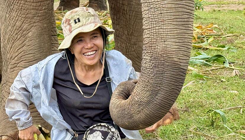 Das Lebenswerk der Elefantenflüsterin ist beeindruckend. Das Lebenswerk der Elefantenflüsterin ist beeindruckend.