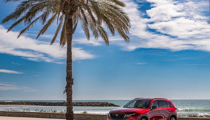 Alles paradiesisch? Hm, zumindest zeigte sich der Tester der Neuauflage gegen&uuml;ber gar nicht abgeneigt - wo liegen Kritikpunkte?