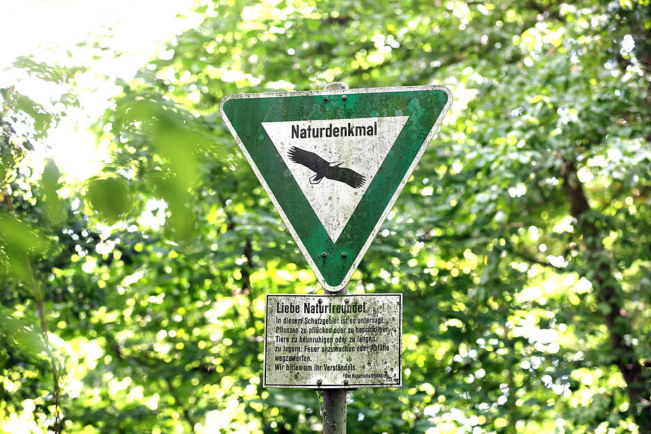 Die Neckarinsel ist in großen Teilen nicht öffentlich zugänglich.