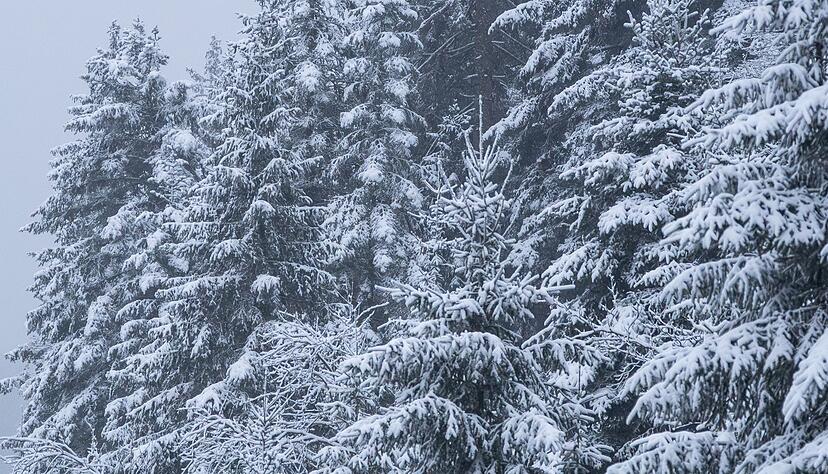 Die wei&szlig;e Pracht war nur auf der H&ouml;he zu bewundern.