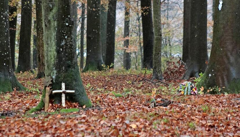 Auf dem Waldfriedhof in Schöntal-Aschhausen werden an den Bäumen Schilder mit den Namen der Beerdigten angebracht. Bei anderen Wäldern gibt es auch andere Formen der Erinnerung an den Bäumen. Auf dem Waldfriedhof in Schöntal-Aschhausen werden an den Bäumen Schilder mit den Namen der Beerdigten angebracht. Bei anderen Wäldern gibt es auch andere Formen der Erinnerung an den Bäumen.