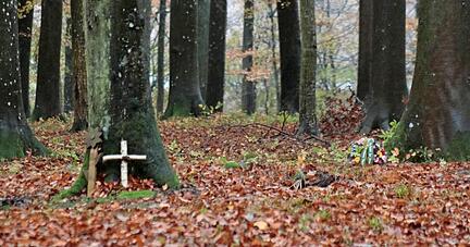 Auf dem Waldfriedhof in Schöntal-Aschhausen werden an den Bäumen Schilder mit den Namen der Beerdigten angebracht. Bei anderen Wäldern gibt es auch andere Formen der Erinnerung an den Bäumen.
Foto: Götz Greiner