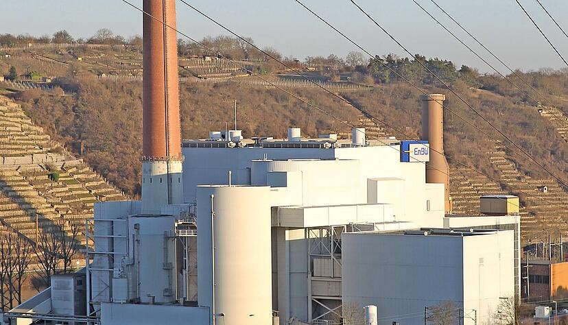Auf dem Gelände des Kohlekraftwerks Walheim will die EnBW eine Klärschlammverbrennung errichten. An diesen Plänen hält sie weiterhin fest. Foto: Archiv/Veigel