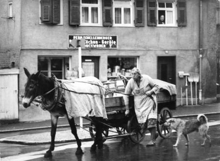 1966 - Emile Mogler, das als "Milch-Moglere" bekannte B&ouml;ckinger Original, f&auml;hrt mit ihrem Maulesel t&auml;glich frische Milch aus.