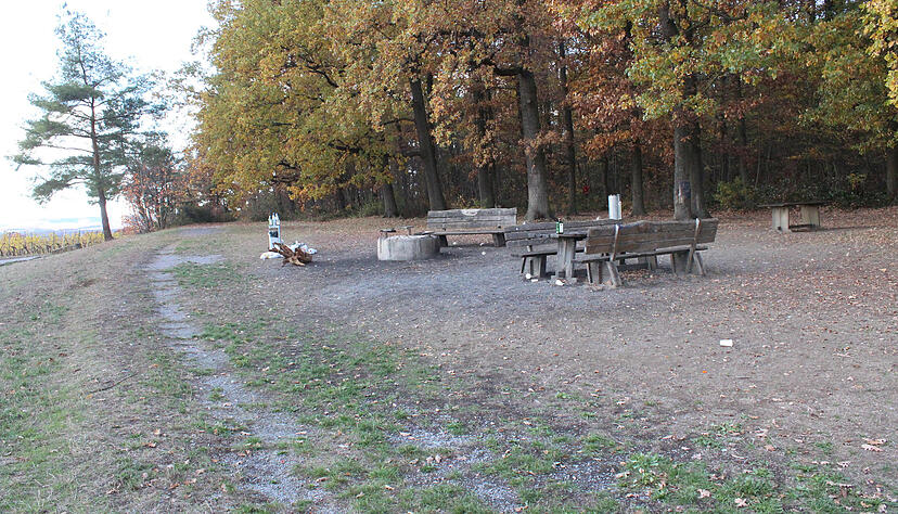 Auf dem Haigern zwischen Talheim und Flein ist es im Herbst letzten Jahres zu einem Großeinsatz der Polizei gekommen. 13 Streifen waren vor Ort, um eine Party mit mindestens 100 Teilnehmern aufzulösen. Foto: Archiv/Heike Kinkopf Auf dem Haigern zwischen Talheim und Flein ist es im Herbst letzten Jahres zu einem Großeinsatz der Polizei gekommen. 13 Streifen waren vor Ort, um eine Party mit mindestens 100 Teilnehmern aufzulösen. Foto: Archiv/Heike Kinkopf