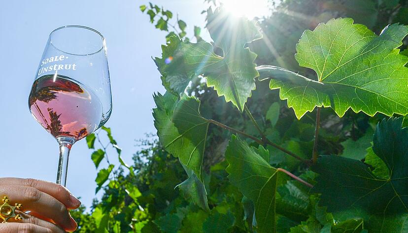 Rosé-Wein wird gerne getrunken.