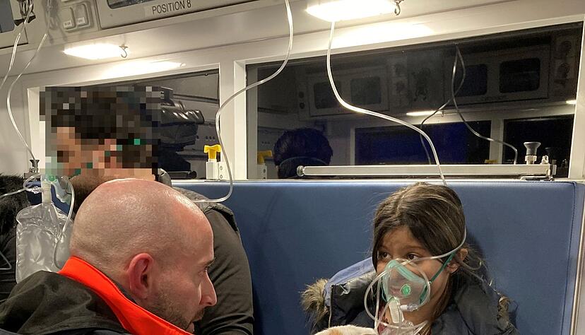 Auch eine Katze brauchte nach dem Brand medizinische Hilfe. (Handout)