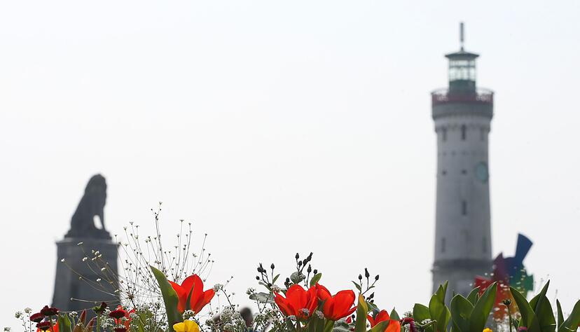 Die Skulptur des bayerischen Löwens und der Leuchtturm, die die Hafeneinfahrt von Lindau (Bayern) markierenk, stehen am 03.04.2017 hinter Frühlingsblumen. Die Skulptur des bayerischen Löwens und der Leuchtturm, die die Hafeneinfahrt von Lindau (Bayern) markierenk, stehen am 03.04.2017 hinter Frühlingsblumen.