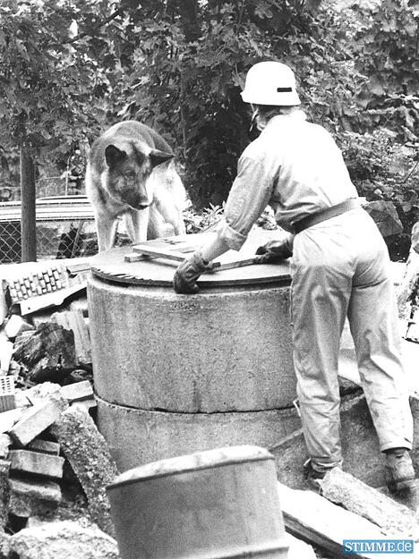 September 1996: Bei der Trümmersuche-Prüfung hat der Hund einen versteckten Menschen unter Steinen und Betonteilen aufgespürt.