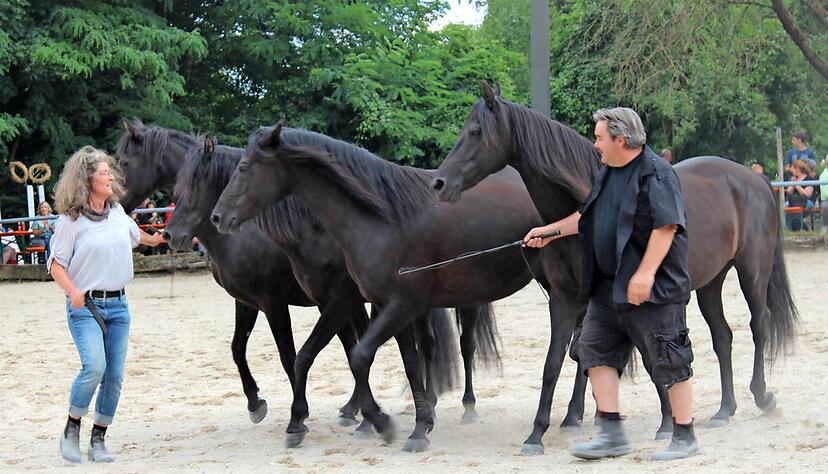 Eine von vielen interessanten Vorführungen: Ursel Wiegand und ihr Mitarbeiter zeigen mit ihren Morgan Horses Elemente der Freiheitsdressur.Foto: Carolin Bozic