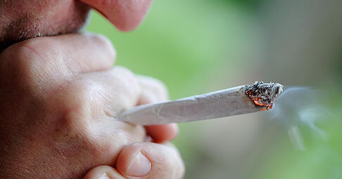 Am 20. April um 16:20 Uhr z&uuml;nden sich viele Cannabis-Fans weltweit einen Joint an.