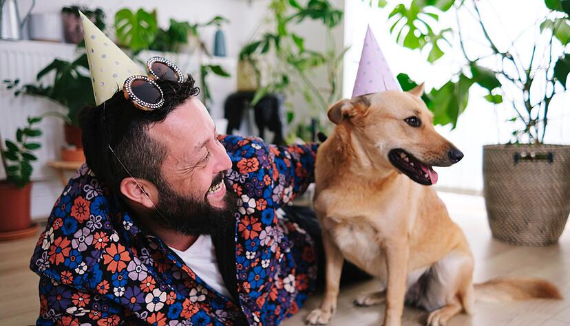 Für Hunde nicht immer ein Grund zu feiern: Silvester. Denn vielen Tieren machen Böller, Raketen und Co. Angst.