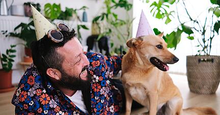 Für Hunde nicht immer ein Grund zu feiern: Silvester. Denn vielen Tieren machen Böller, Raketen und Co. Angst.
