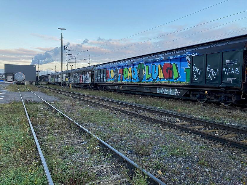 Zwei M&auml;nner sind auf einen abgestellten G&uuml;terzug geklettert und haben einen Stromschlag erlitten.