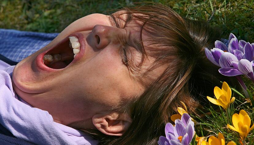 Eine Frau liegt auf einer mit Krokussen bewachsenen Wiese und g&auml;hnt. (Archivbild)