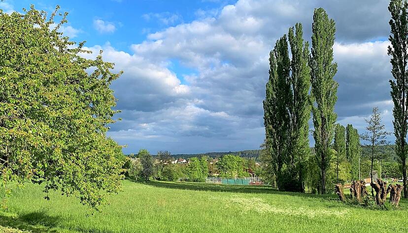 Hier hat die Gemeinde Eberstadt im vergangenen Herbst ein Grundstück für den Pumptrack gekauft. In einem Beteiligungsworkshop soll geklärt werden, was den künftigen Nutzern wichtig ist.
Foto: Anja Krezer Hier hat die Gemeinde Eberstadt im vergangenen Herbst ein Grundstück für den Pumptrack gekauft. In einem Beteiligungsworkshop soll geklärt werden, was den künftigen Nutzern wichtig ist.
Foto: Anja Krezer