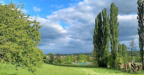 Hier hat die Gemeinde Eberstadt im vergangenen Herbst ein Grundst&uuml;ck f&uuml;r den Pumptrack gekauft. In einem Beteiligungsworkshop soll gekl&auml;rt werden, was den k&uuml;nftigen Nutzern wichtig ist.
Foto: Anja Krezer