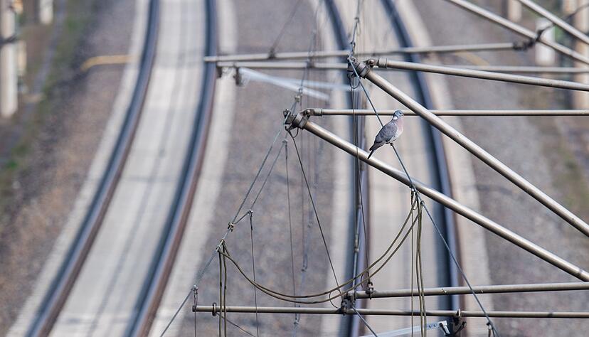 Wegen eines gerissenen Tragseils in der Oberleitung fahren am Ulmer Hauptbahnhof weder Fern- noch Regionalz&uuml;ge. (Symbolbild)