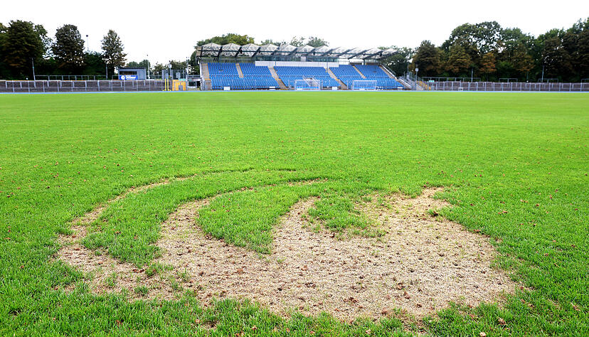 An einer Stelle klafft im Heilbronner Frankenstadion ein regelrechtes Loch. Auch Fahrspuren sind zu erkennen. Fotos: Ralf Seidel