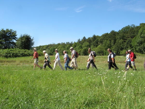 Lesersommer Wanderung