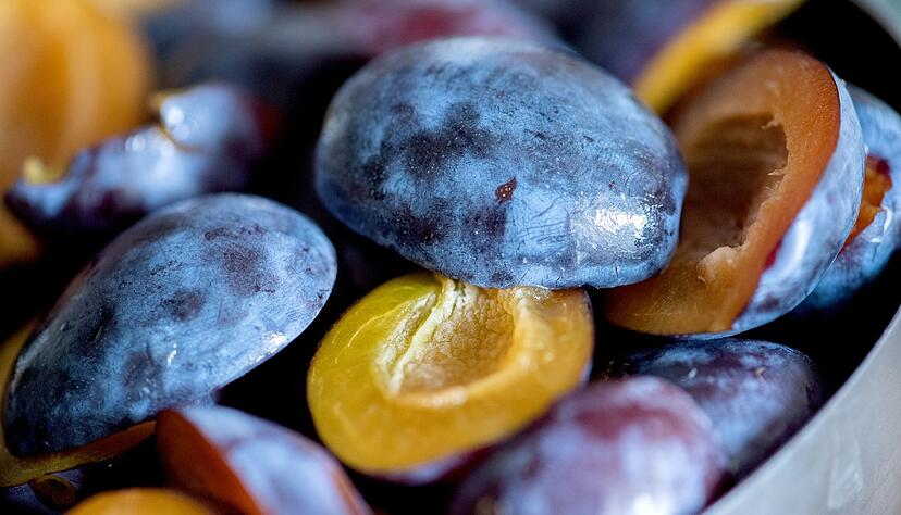 Die typisch weißliche Schicht von Pflaumen und Zwetschgen sollte erst kurz vor dem Entkernen abgewaschen werden. Sie schützt vor dem Austrocknen. Die typisch weißliche Schicht von Pflaumen und Zwetschgen sollte erst kurz vor dem Entkernen abgewaschen werden. Sie schützt vor dem Austrocknen.